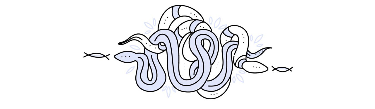 znak-zodiaka-zmeenosets-1